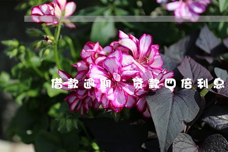 借款逾期 贷款四倍利息 借款逾期 贷款四倍利息